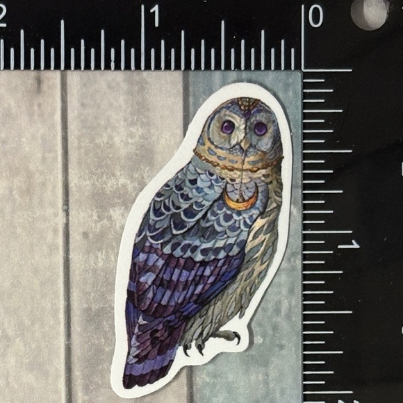 ๐10/$10๐ Owl Reusable Waterproof Vinyl Sticker Decal - Picture 1 of 1
